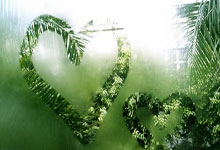 极速体育：记者Vlog丨探秘土耳其“瓷器藏宝阁”近1500件中国瓷器亮相！.