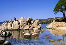 极速体育：[流言板]弗里克执教巴萨对阵马竞1平1负，哈维对阵马竞5战全胜14亮28回复.